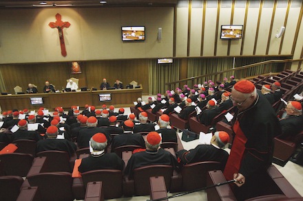 The synod in session (CNS)